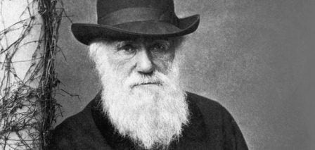 The Private Book Collections Of 4 Famous Writers - Charles Darwin The Private Book Collections Of 4 Famous Writers - Charles Darwin