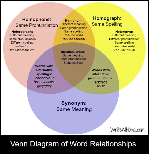 Homophones, Homonyms, Homographs and More Homophones, Homonyms, Homographs and More