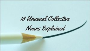 10 Unusual Collective Nouns Explained