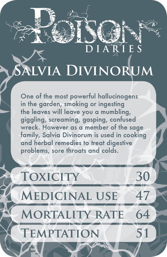 Salvia Divinorum - 10 Deadly Poisons - A Crime Writer's Resource Salvia Divinorum - 10 Deadly Poisons - A Crime Writer's Resource