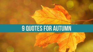 9 Quotes For Autumn