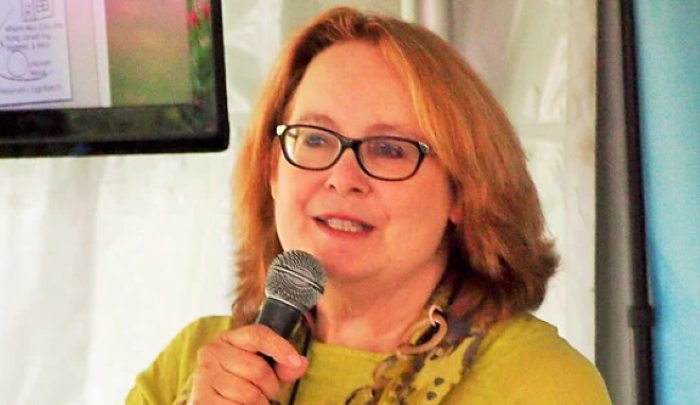 Deborah Wiles