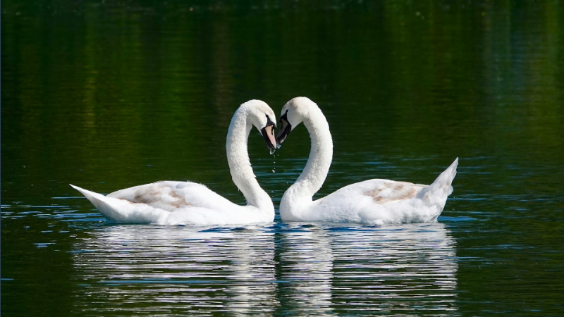 What Is Subject-Verb Agreement? 30 Examples To Master Concord