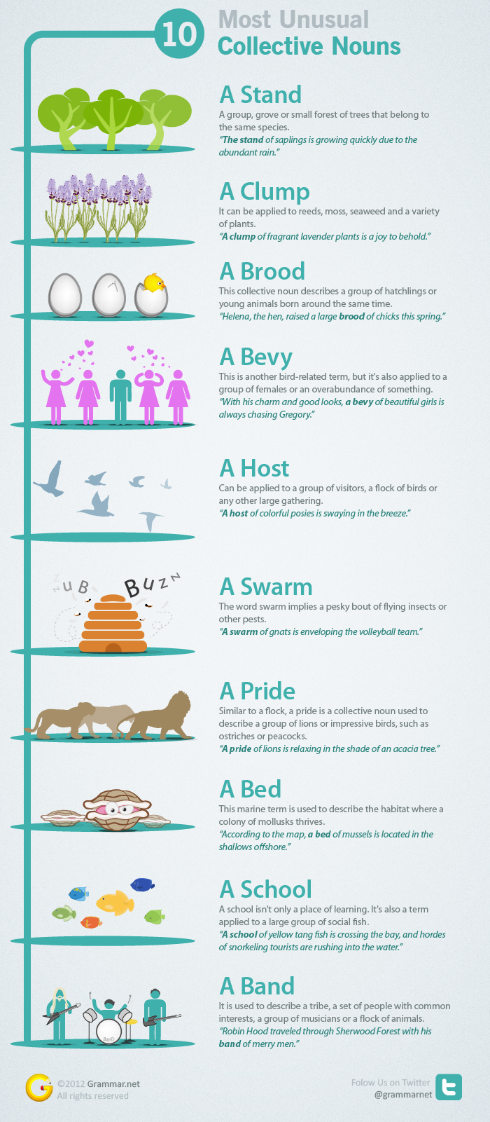10 Unusual Collective Nouns Explained