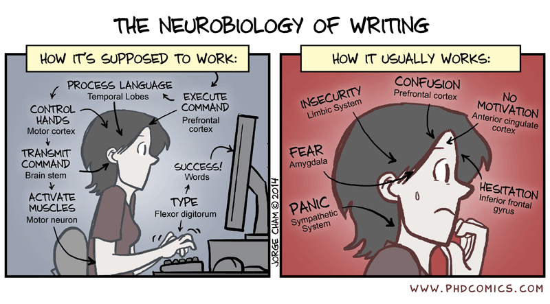 The Neurobiology of Writing