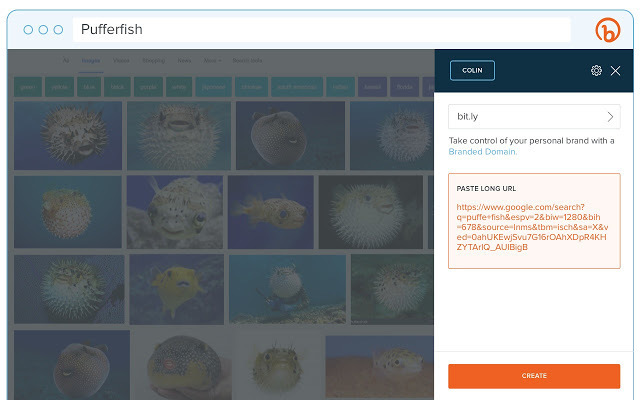 6 Browser Extensions That Can Help You Grow And Manage Your Social Profiles 6 Browser Extensions That Can Help You Grow And Manage Your Social Profiles