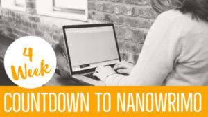 Countdown To NaNoWriMo - How To Plan For The Month