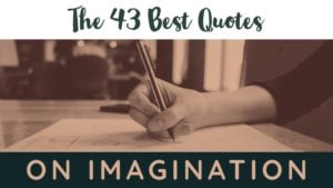 The 43 Best Quotes On Imagination