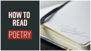 How To Read Poetry